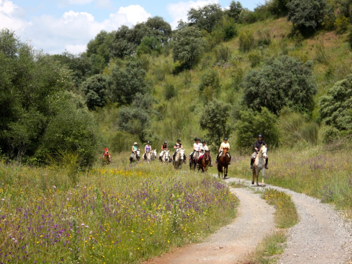 Horse riding 1 hour 1