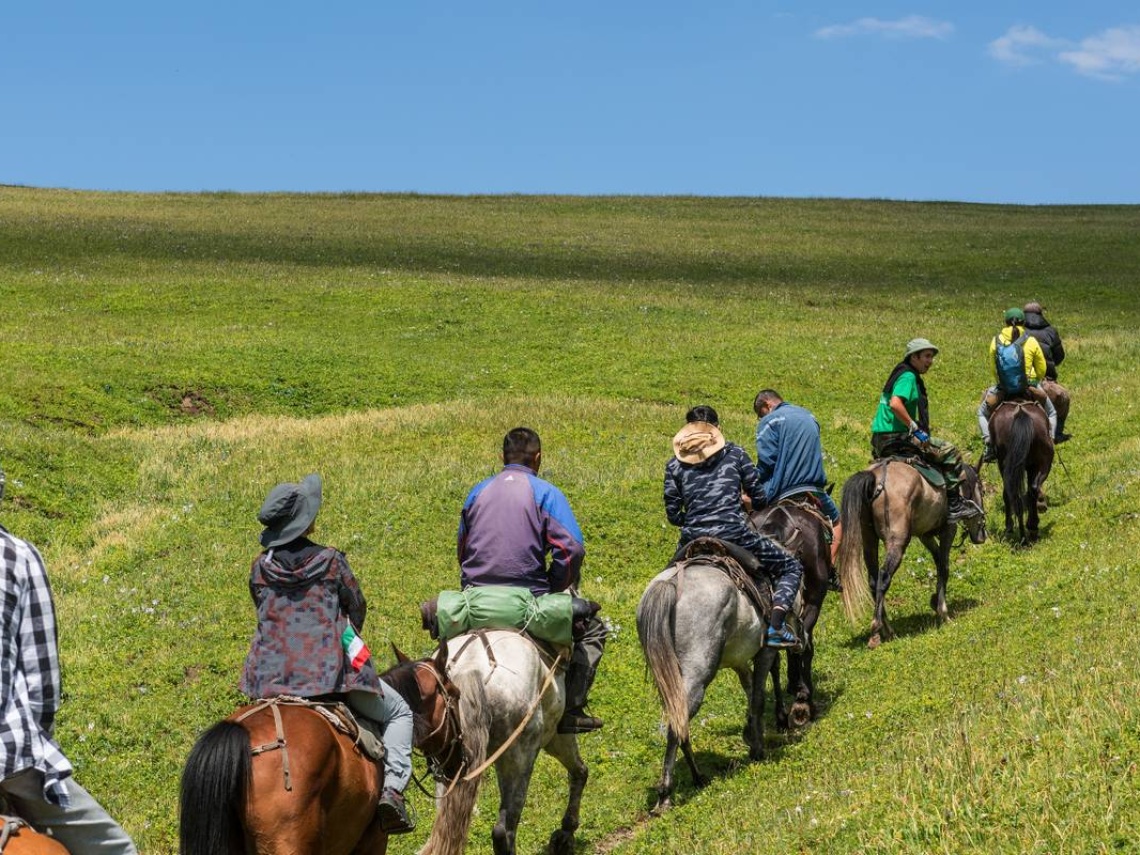 Horse riding 1 hour 2