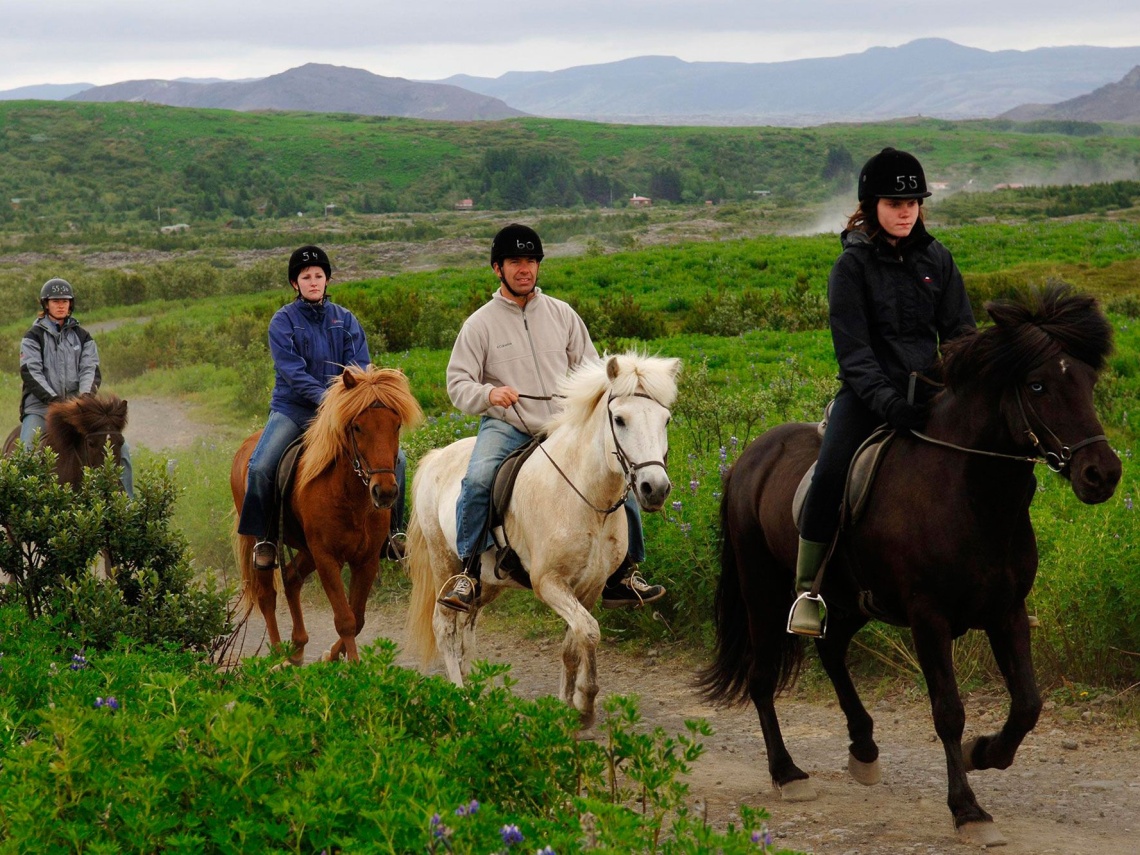 Horse riding 1 hour 3